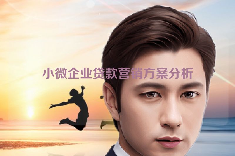 小微企业贷款营销方案分析
