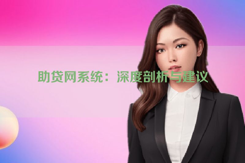 助贷网系统：深度剖析与建议