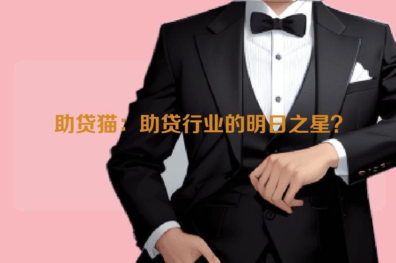 助贷猫：助贷行业的明日之星？