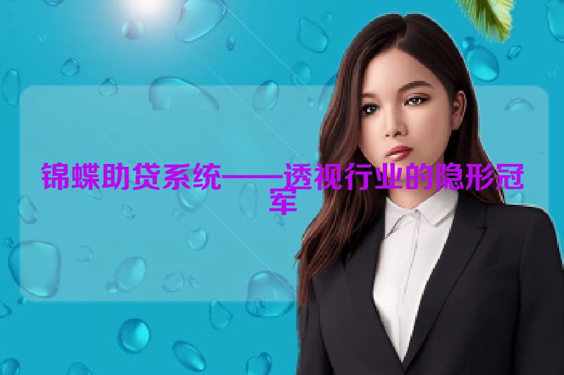 锦蝶助贷系统——透视行业的隐形冠军