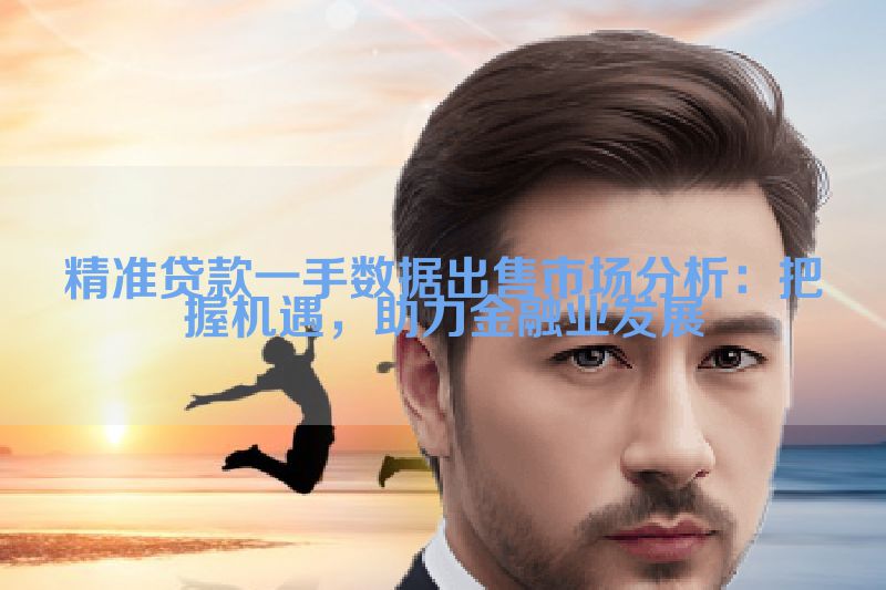 精准贷款一手数据出售市场分析：把握机遇，助力金融业发展