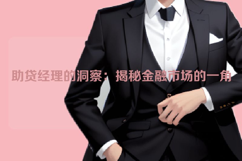 助贷经理的洞察：揭秘金融市场的一角