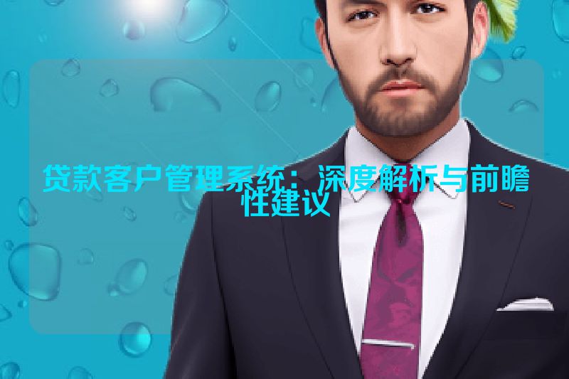 贷款客户管理系统：深度解析与前瞻性建议