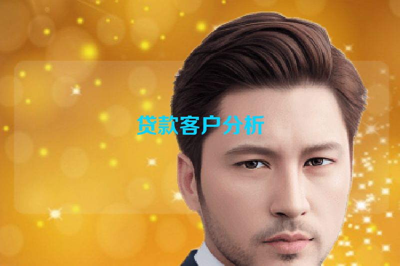 贷款客户分析