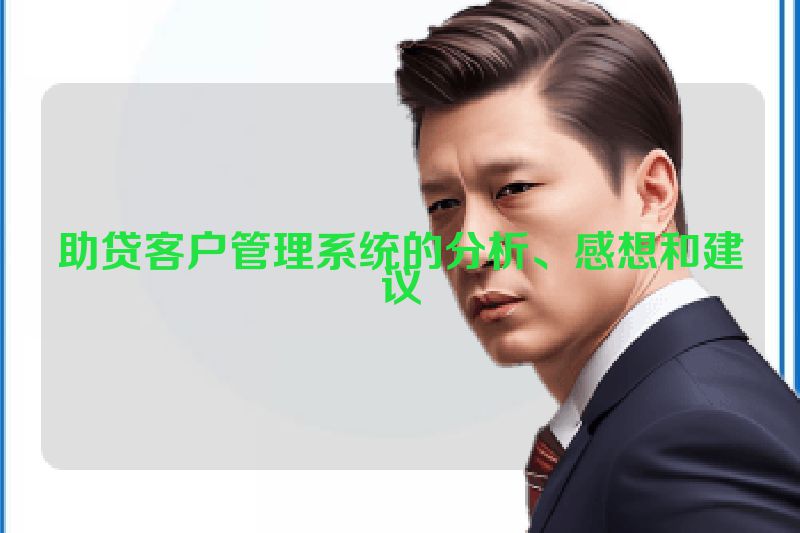 助贷客户管理系统的分析、感想和建议