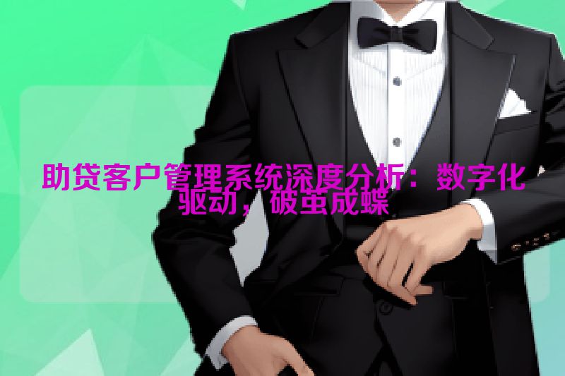 助贷客户管理系统深度分析：数字化驱动，破茧成蝶