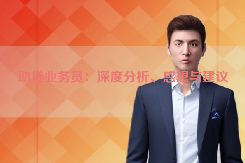 助贷业务员：深度分析、感想与建议