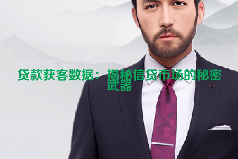 贷款获客数据：揭秘信贷市场的秘密武器