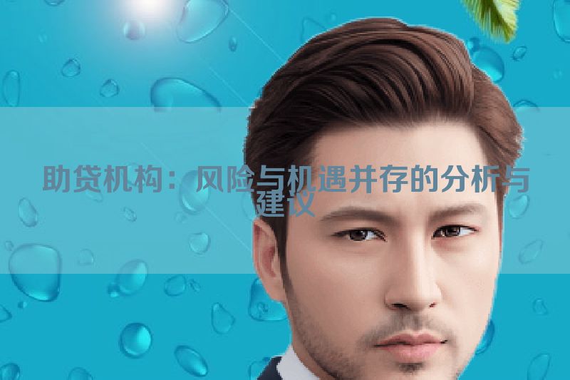 助贷机构：风险与机遇并存的分析与建议
