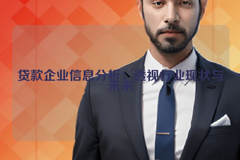 贷款企业信息分析：透视行业现状与未来