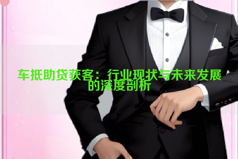 车抵助贷获客：行业现状与未来发展的深度剖析