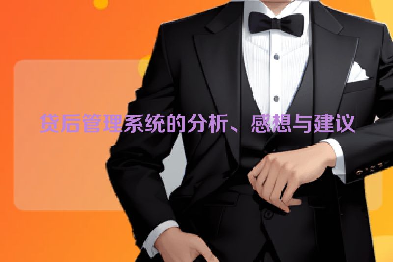 贷后管理系统的分析、感想与建议
