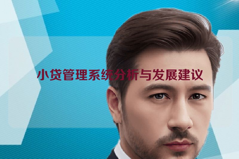 小贷管理系统分析与发展建议