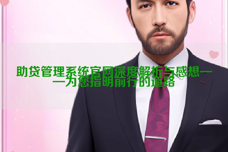 助贷管理系统官网深度解析与感想——为您指明前行的道路