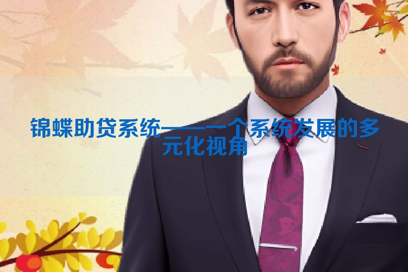 锦蝶助贷系统——一个系统发展的多元化视角