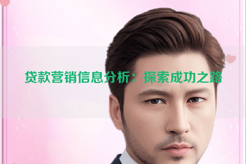 贷款营销信息分析：探索成功之路
