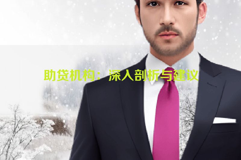 助贷机构：深入剖析与建议