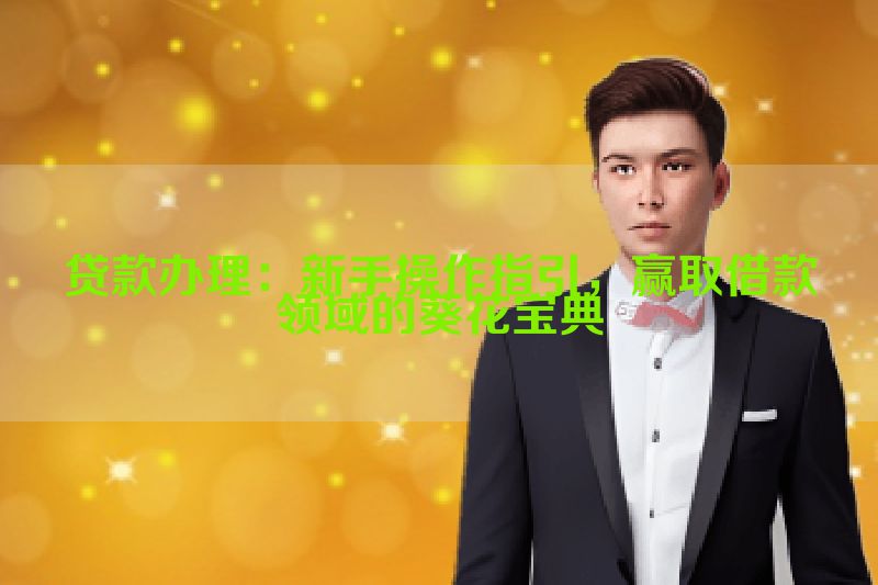 贷款办理：新手操作指引，赢取借款领域的葵花宝典