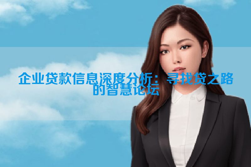企业贷款信息深度分析：寻找贷之路的智慧论坛