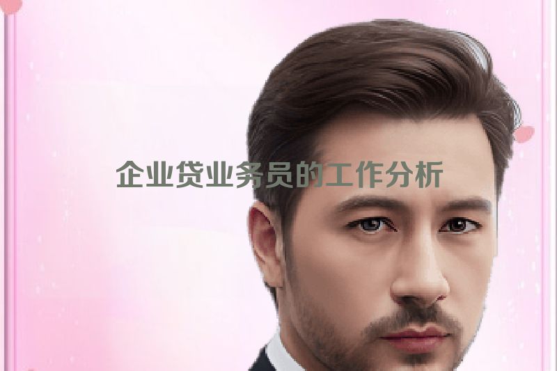 企业贷业务员的工作分析