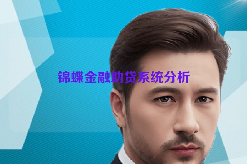 锦蝶金融助贷系统分析