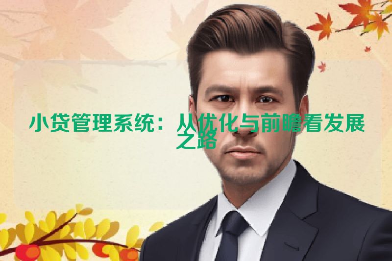 小贷管理系统：从优化与前瞻看发展之路