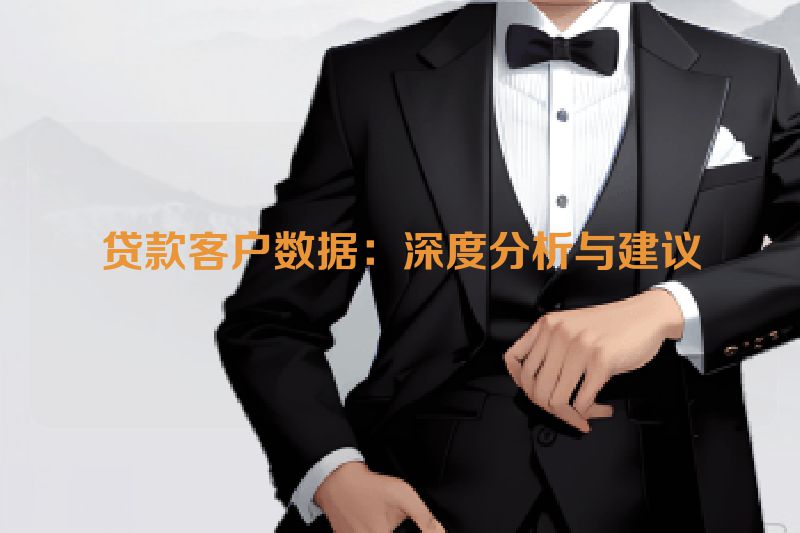 贷款客户数据：深度分析与建议