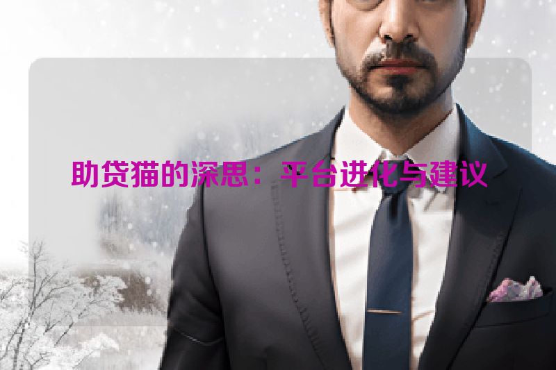 助贷猫的深思：平台进化与建议