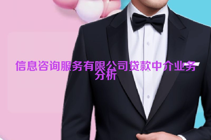 信息咨询服务有限公司贷款中介业务分析