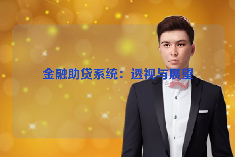 金融助贷系统：透视与展望