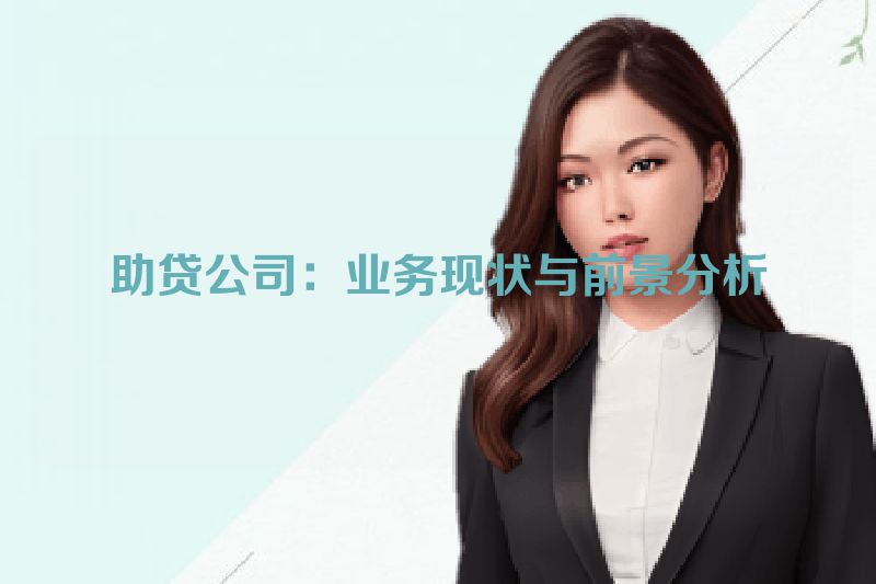 助贷公司：业务现状与前景分析