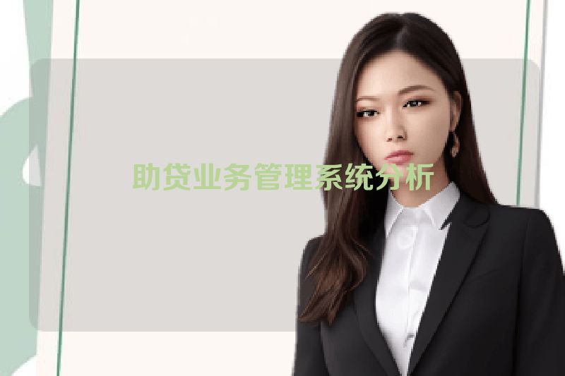 助贷业务管理系统分析