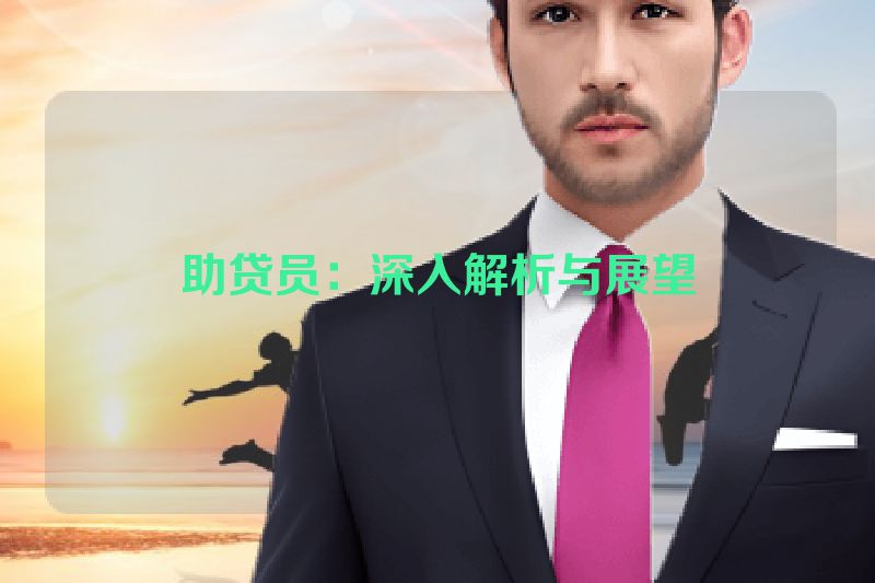 助贷员：深入解析与展望