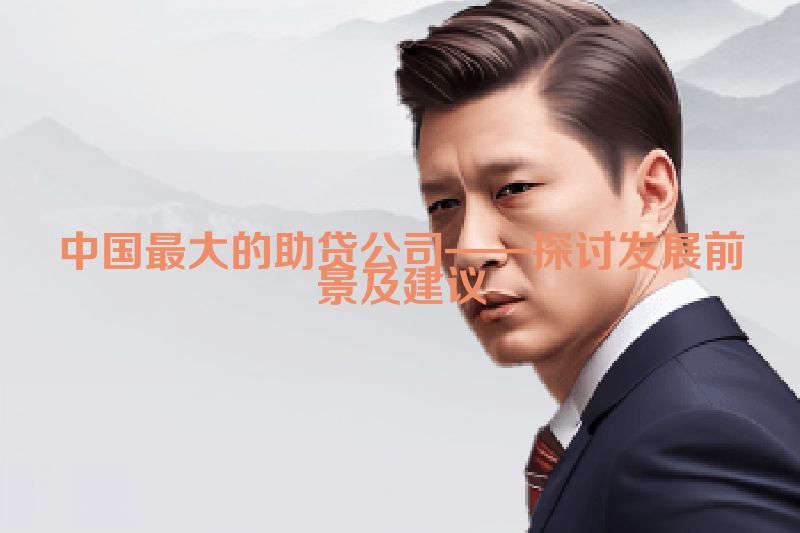 中国最大的助贷公司——探讨发展前景及建议