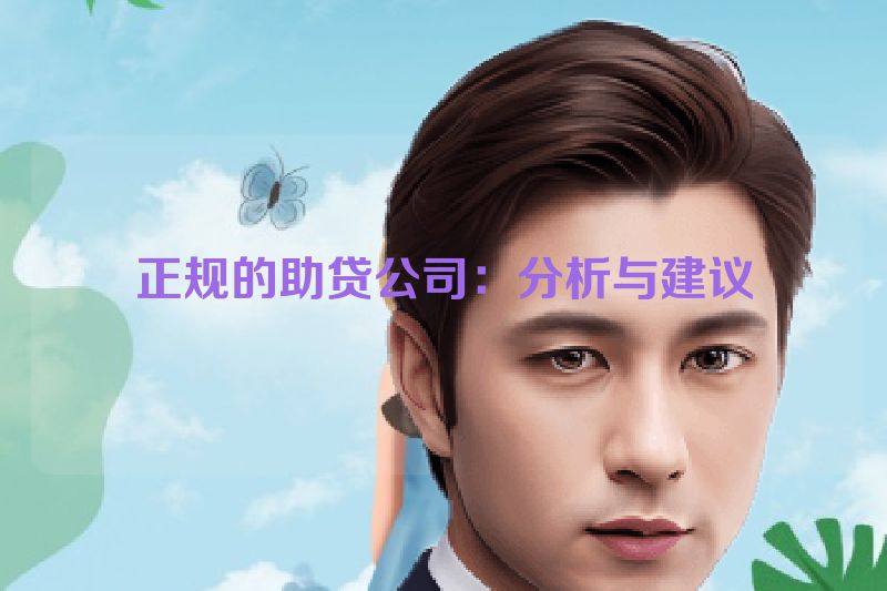 正规的助贷公司：分析与建议