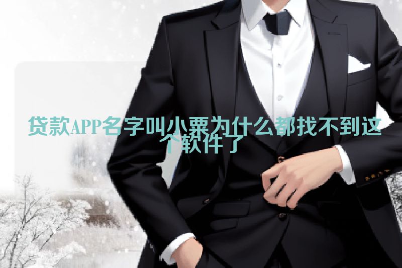  贷款APP名字叫小粟为什么都找不到这个软件了
