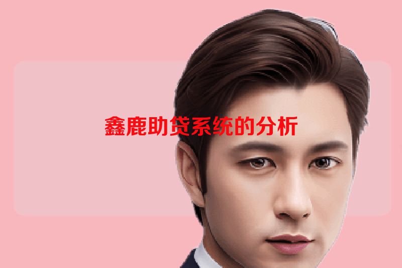 鑫鹿助贷系统的分析