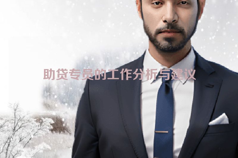 助贷专员的工作分析与建议
