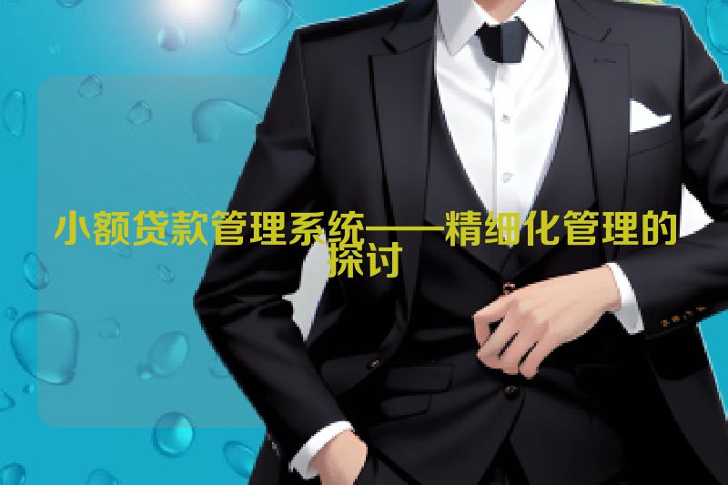 小额贷款管理系统——精细化管理的探讨