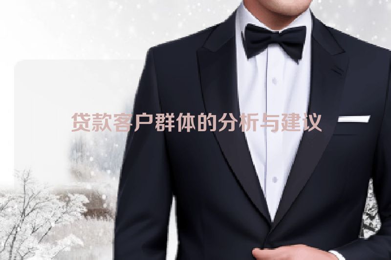贷款客户群体的分析与建议