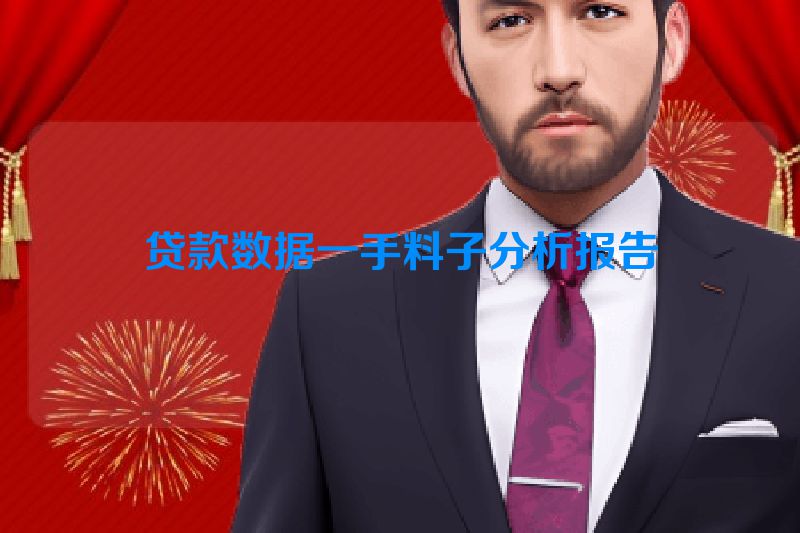 贷款数据一手料子分析报告