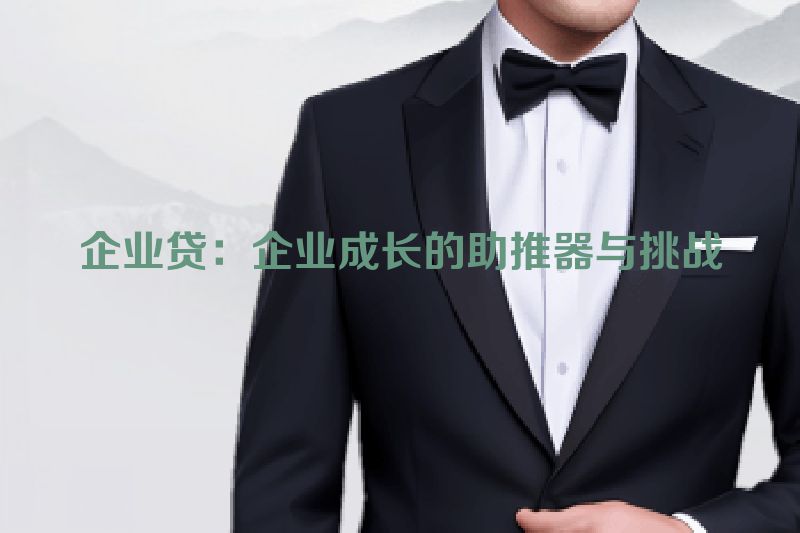 企业贷：企业成长的助推器与挑战