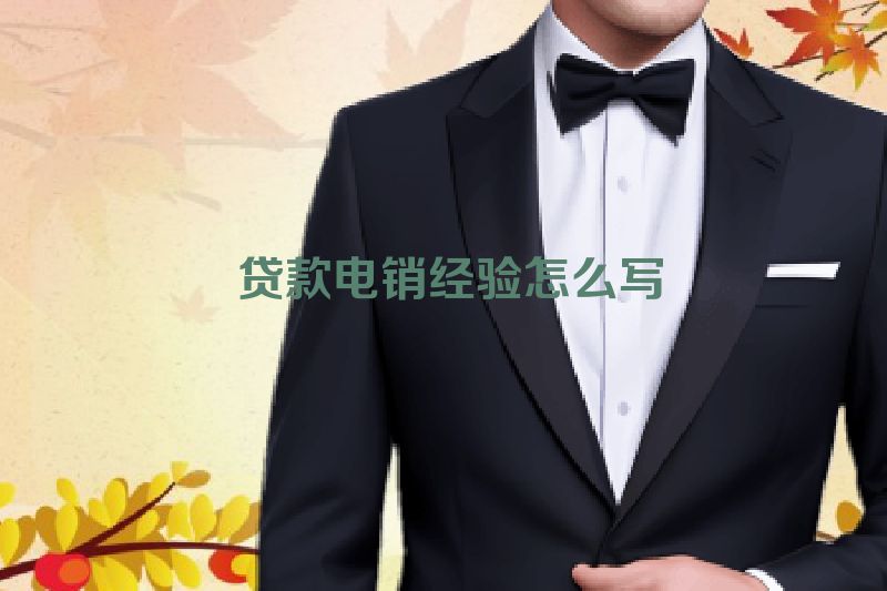  贷款电销经验怎么写