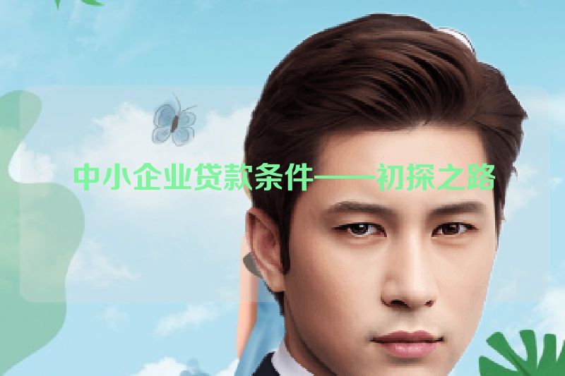 中小企业贷款条件——初探之路
