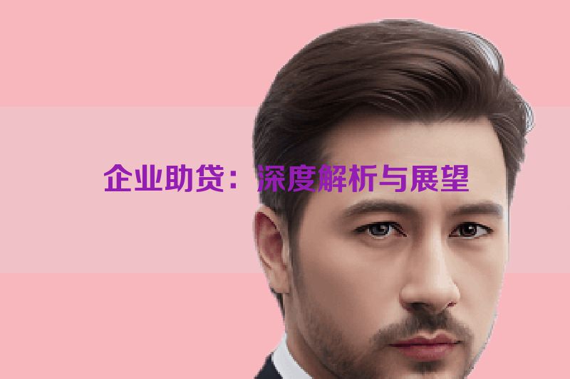 企业助贷：深度解析与展望