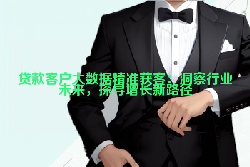 贷款客户大数据精准获客：洞察行业未来，探寻增长新路径