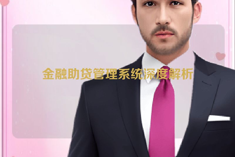 金融助贷管理系统深度解析