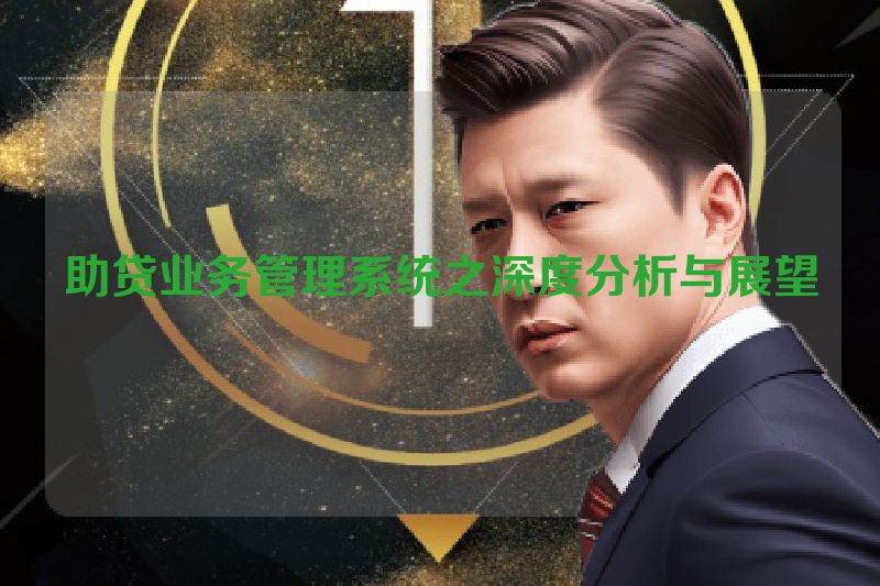 助贷业务管理系统之深度分析与展望