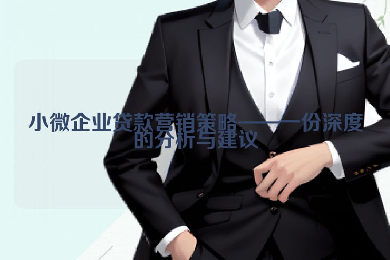 小微企业贷款营销策略——一份深度的分析与建议