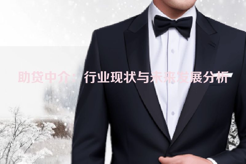 助贷中介：行业现状与未来发展分析